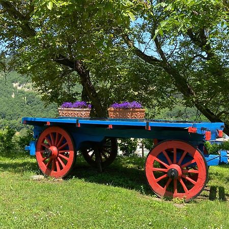 Agriturismo Popolano Di Sotto Villa Marradi Esterno foto