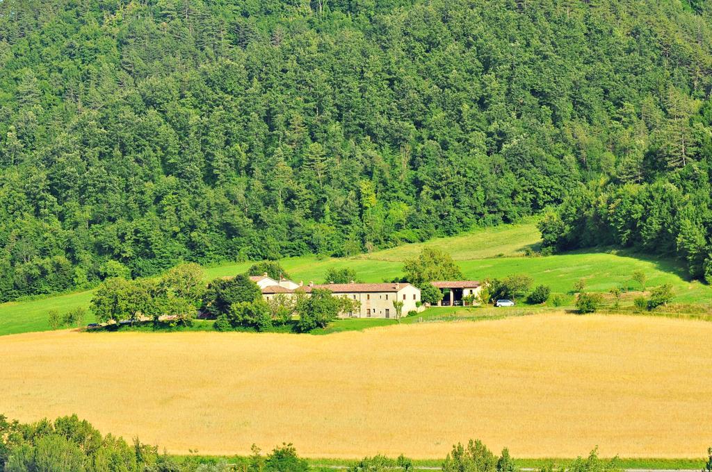 Agriturismo Popolano Di Sotto Villa Marradi Esterno foto