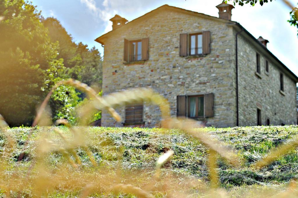 Agriturismo Popolano Di Sotto Villa Marradi Esterno foto