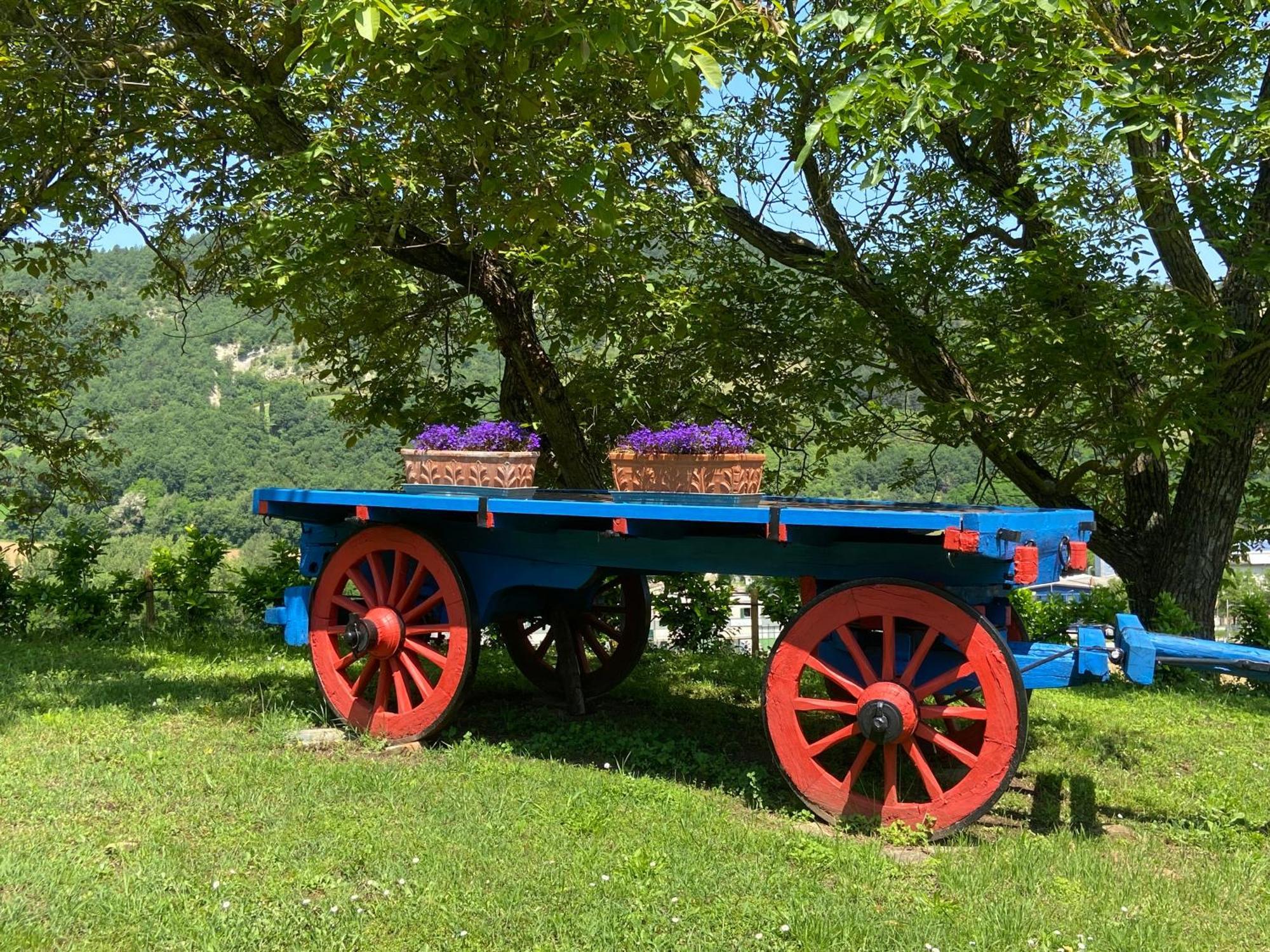 Agriturismo Popolano Di Sotto Villa Marradi Esterno foto